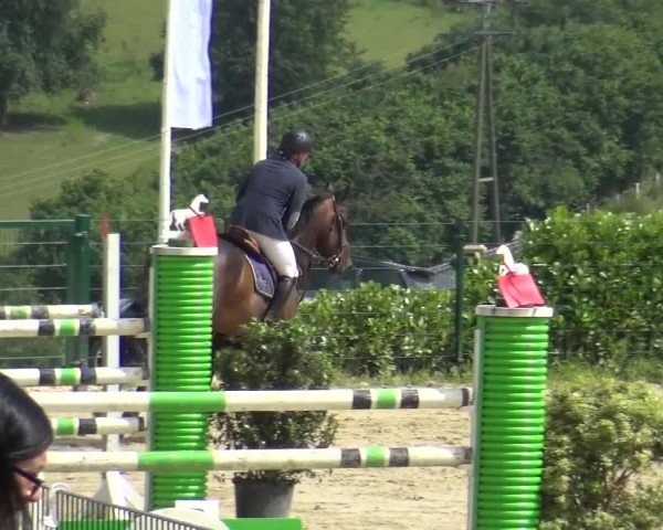 Reitturnier Lindlar-Süttenbach 2016