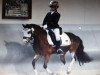 dressage horse Kleiner Adler (unknown, 2003)