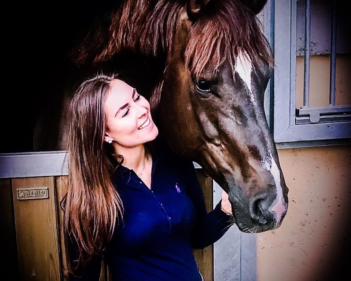 dressage horse Dschungelkönig 2 (Hanoverian, 2011, from Dannebrog)