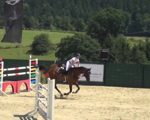 Reitturnier Lindlar-Süttenbach 2016