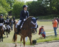 dressage horse Maximum Overdrive (German Riding Pony, 2013, from Mel Brook)