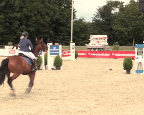 Euregioturnier Wietmarschen 2016