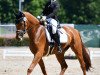 dressage horse Fabelhaft 40 (Oldenburg, 2013, from For Romance I)