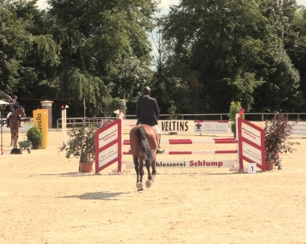 Euregioturnier Wietmarschen 2016