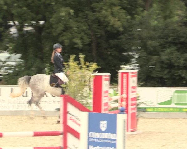 Euregioturnier Wietmarschen 2016