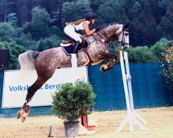 jumper Tyler (Hanoverian, 2011, from Tinka's Boy)