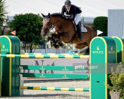 jumper Lucky Luke de Goedereede (Belgian Warmblood, 2011, from Numero Uno)