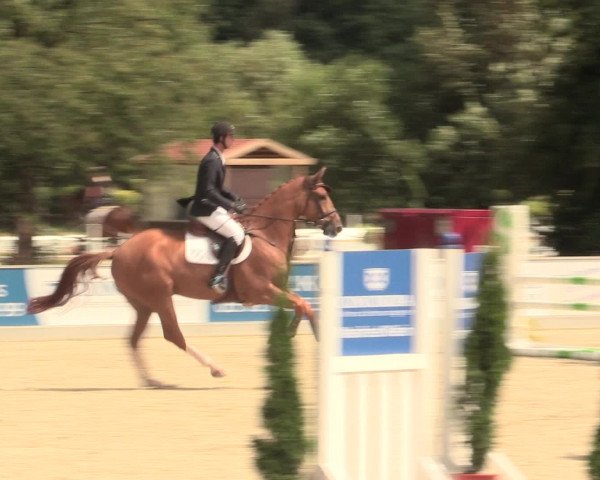 Euregioturnier Wietmarschen 2016