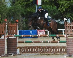 jumper Dio Mio 7 (Oldenburg show jumper, 2010, from Diarado)