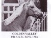 Deckhengst Golden Valley (Arabisches Halbblut / Partbred, 1955, von Cervin AA)