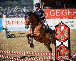 jumper Felix XXXIV (Hanoverian, 2008, from For Feeling)