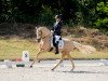 dressage horse Dexter Mcdougle (German Riding Pony, 2014, from Dimension AT NRW)