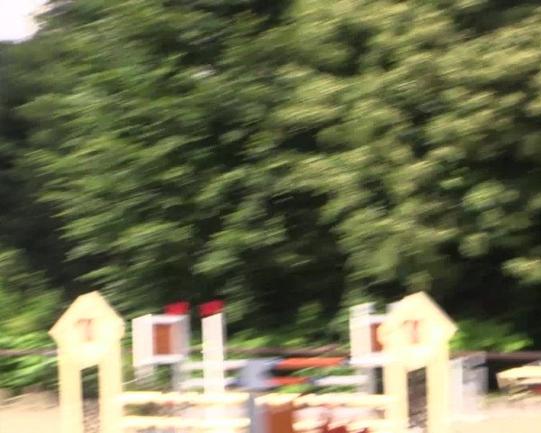 Kemperhöher Reitertage 2016