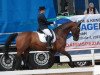 dressage horse Catoki 3 (Mecklenburg, 2009, from Careman)