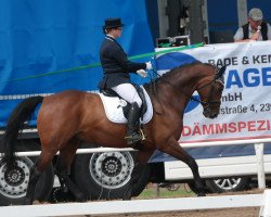 dressage horse Catoki 3 (Mecklenburg, 2009, from Careman)