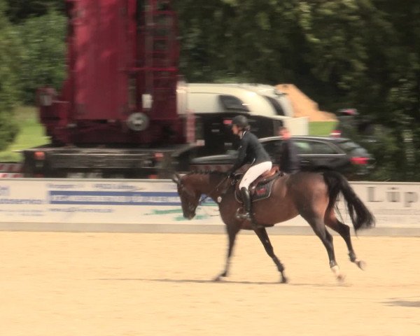 Euregioturnier Wietmarschen 2016