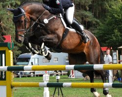 jumper Quintana 82 (Hanoverian, 2010, from Quintender 2)