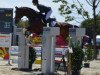 jumper Calistra 18 (Hanoverian, 2012, from Cloney)