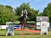 jumper Jolyboy (Swiss Warmblood, 2006, from Joly St. Hubert)