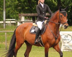 broodmare Lugia (Hanoverian, 2002, from Landjonker (Fruhling))