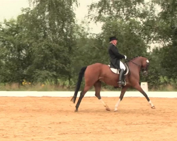 Euregioturnier Wietmarschen 2016