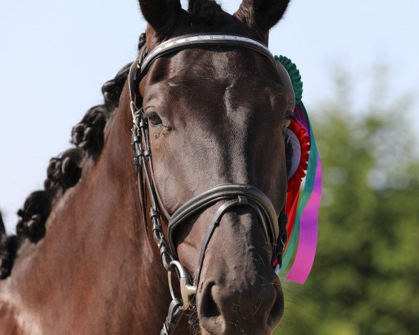 dressage horse Relaska Js (Austrian Warmblood, 2015, from Rosarius)