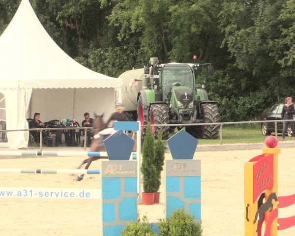Euregioturnier Wietmarschen 2016