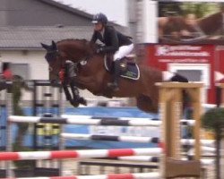 jumper Cocobelle 3 (Oldenburg show jumper, 2013, from Camargo 2)