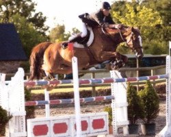 jumper Cyrano de Lizami D'10 (Belgian Warmblood, 2002, from Ohio van de Padenborre)