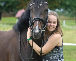 Springpferd Chadisia (Deutsches Sportpferd, 2012, von Coubertin 3)