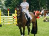 dressage horse Sir Alfred H (Westphalian, 2015, from Sir Heinrich OLD)