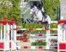 Springpferd Destiny van Schore (Belgium Sporthorse, 2009, von Ugano Sitte)