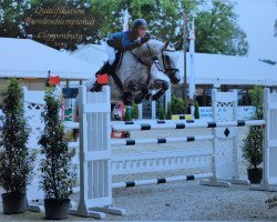 jumper Stalido P (Hanoverian, 2013, from Stalypso)