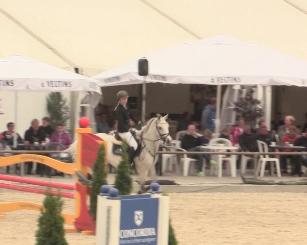 Euregioturnier Wietmarschen 2016