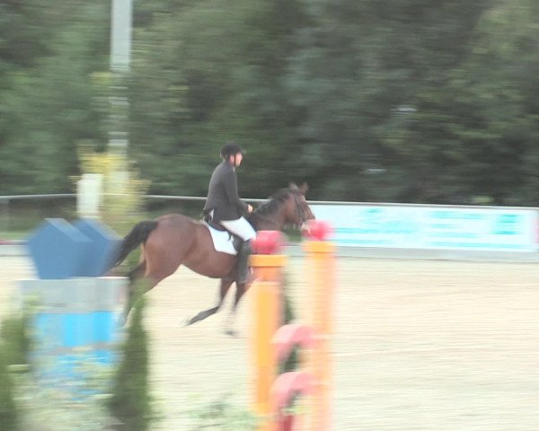 Euregioturnier Wietmarschen 2016