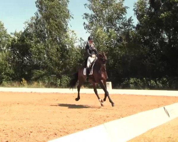 Euregioturnier Wietmarschen 2016