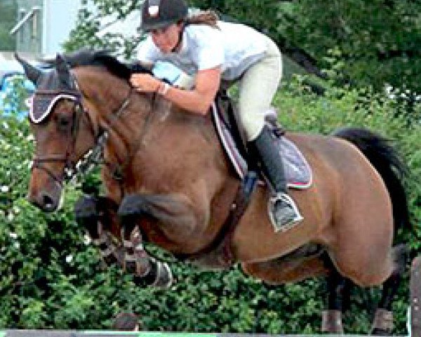 broodmare Oceane de Semilly (Selle Français, 2002, from Quick Star)