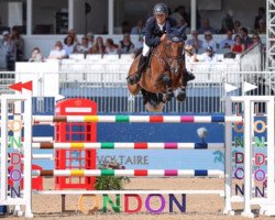 jumper Lafayette van Overis (Belgian Warmblood, 2011, from Kashmir van't Schuttershof)