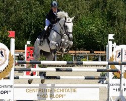 jumper Charlotte (Oldenburg show jumper, 2009, from Califax)