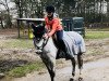 dressage horse Grace 411 (Mecklenburg, 2007, from Grey Hope)