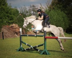 broodmare Charme of Angel (German Riding Pony, 2006, from Charm of Nibelungen)