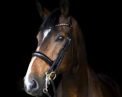 dressage horse Flambeau DB (Westphalian, 2004, from Fürstenreich)