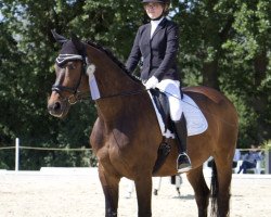 dressage horse Escorial 153 (Hanoverian, 2006, from Escudo I)