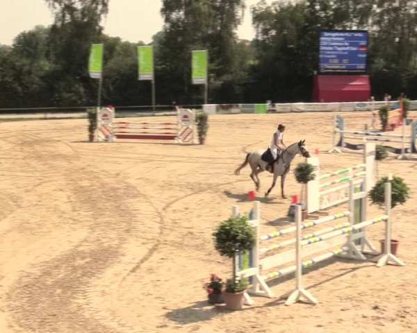 Großes Reit- und Springturnier Herbern 2016