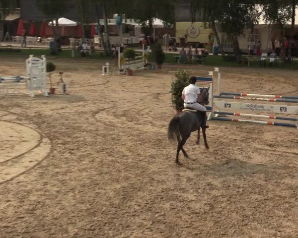 Großes Reit- und Springturnier Herbern 2016