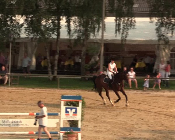 Großes Reit- und Springturnier Herbern 2016