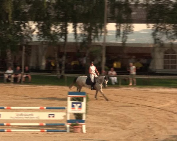 Großes Reit- und Springturnier Herbern 2016