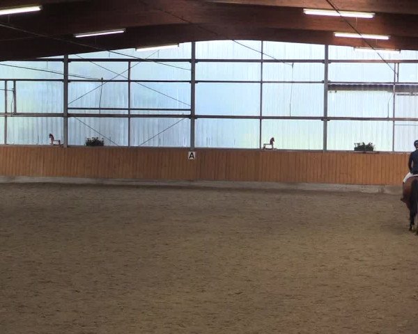 Großes Reit- und Springturnier Herbern 2016