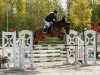 Pferd Kantje's Ferdi (Nederlands Rijpaarden en Pony, 2010, von Justice H.R.)