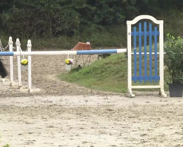 Reitturnier Schwetzingen 2016
